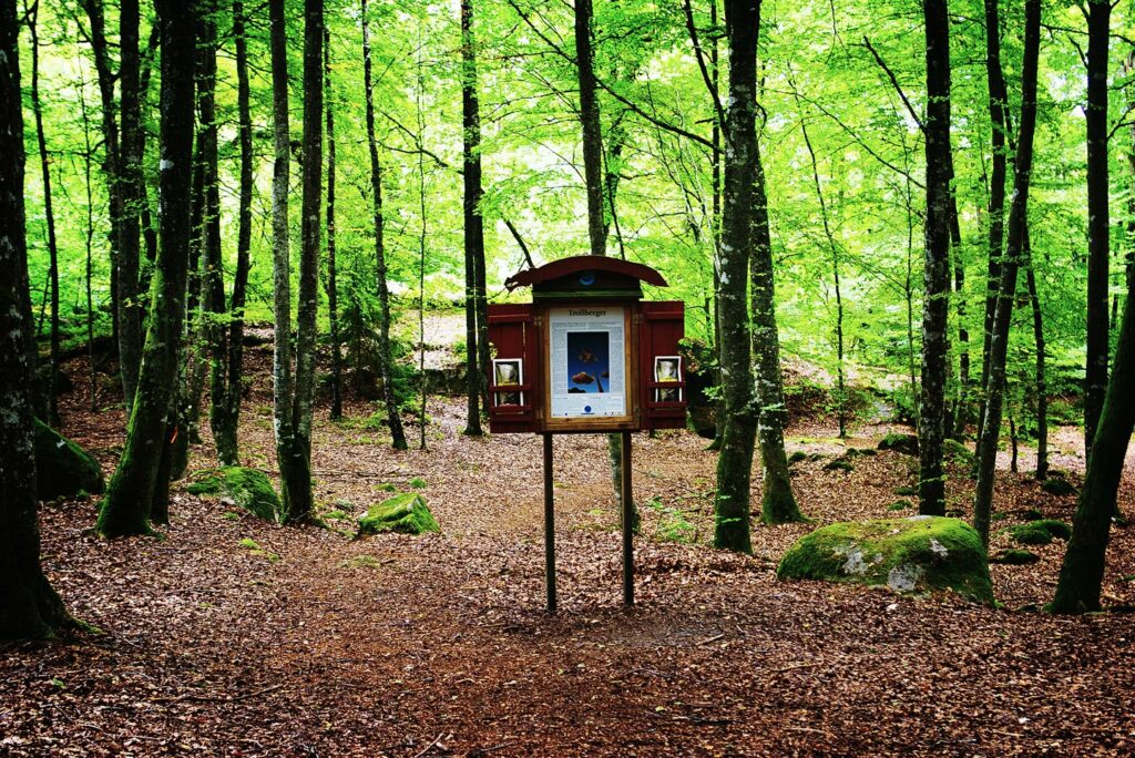 Bild på trollberget